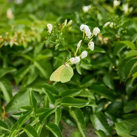 דירה In With Sea View, Balcony, Air Conditioning, Wifi 5197-1