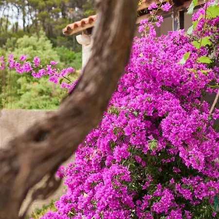 דירה In With Sea View, Balcony, Air Conditioning, Wifi 5197-1