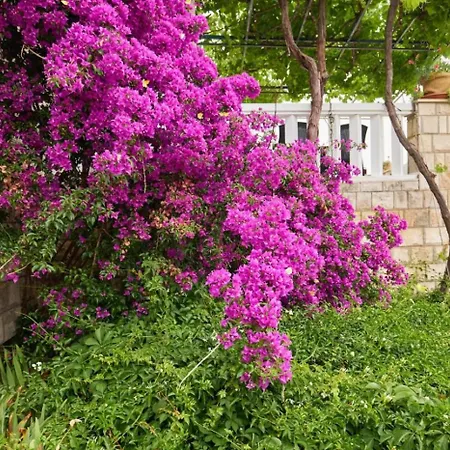 In With Sea View, Balcony, Air Conditioning, Wifi 5197-1 * ספלונרה