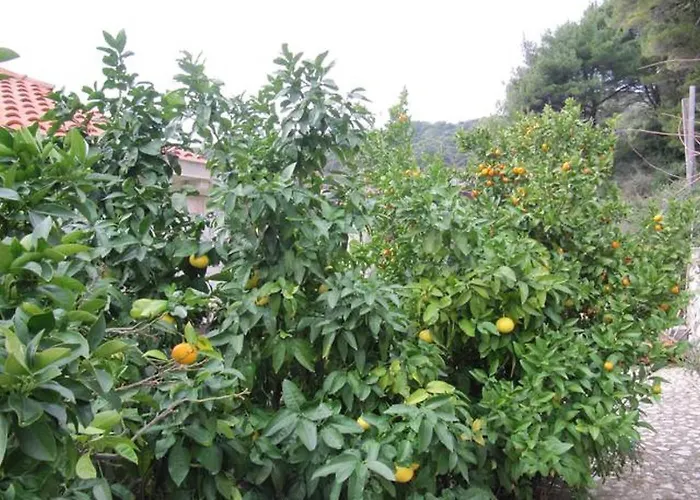 In With Sea View, Balcony, Air Conditioning, Wifi 5197-1