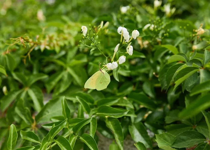 Apartment In With Sea View, Balcony, Air Conditioning, Wifi 5197-1