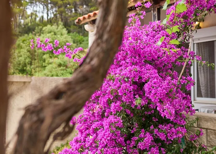 Apartment In With Sea View, Balcony, Air Conditioning, Wifi 5197-1