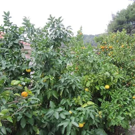 In With Sea View, Balcony, Air Conditioning, Wifi 5197-1